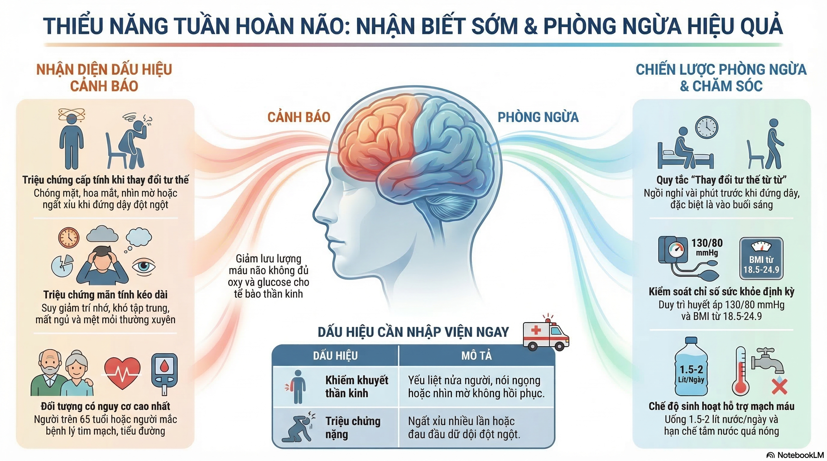 Thiểu Năng Tuần Hoàn Não: Tổng Quan Toàn Diện